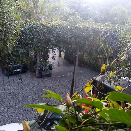 Tranquil Valley Resort Munnar Exterior foto